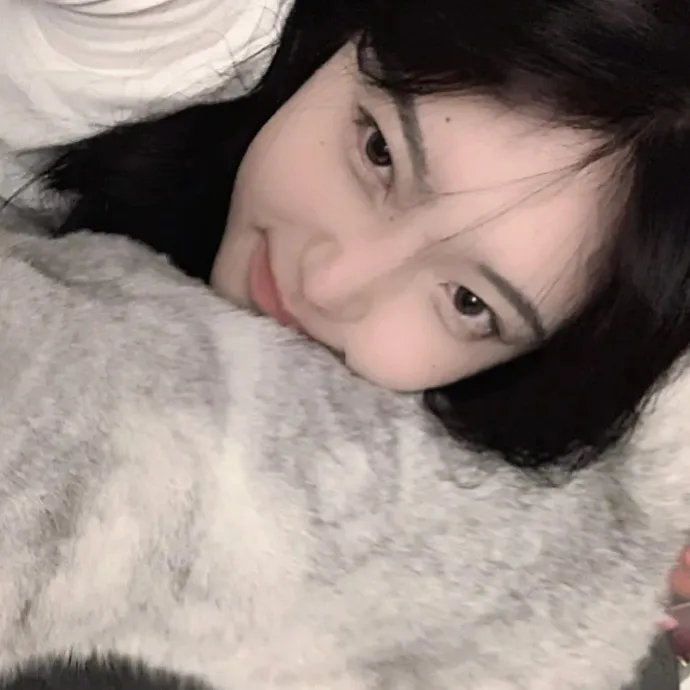 元首的面孔